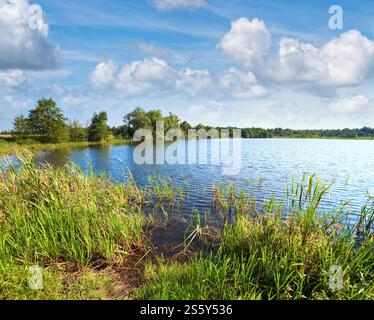 Rushy d'été avec vue sur le lac et petit village sur l'autre rive Banque D'Images