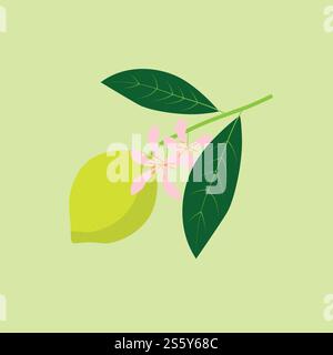 Citron à fleurs ramifiées avec des fruits. Éléments exotiques et tropiques d'été. Impression vectorielle pour carte, t-shirt, décor Illustration de Vecteur