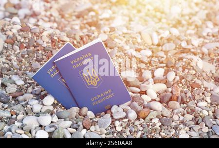 Nouveau passeport ukrainien biométrique vous permet de voyager dans les pays de villégiature européens de l'Union européenne sans visa. Document d'identité électronique sans visa. Banque D'Images