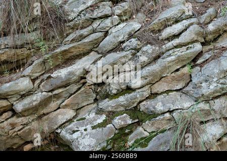 Mousse sur un relief de face rocheuse et texture de pierre avec des motifs. Fond naturel en pierre. Flore de montagne. Arrière-plan naturel détaillé. Mousse sur rocher Banque D'Images