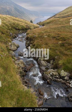 Les Tallas brûlent au-dessus de la haute vallée de Tweed et du réservoir de Talla, Tweedsmuir, Scottish Borders Banque D'Images