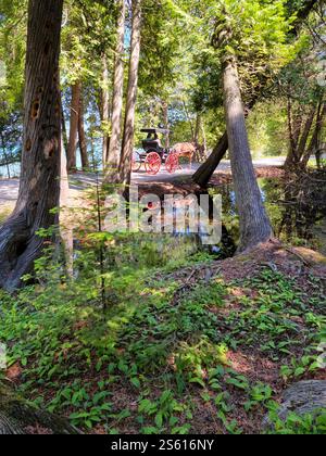 Sentier forestier de l'île Mackinac, Michigan. Une route de 8 miles M-185, la seule autoroute d'État des États-Unis sans véhicules motorisés, fait un rond Banque D'Images