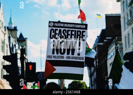 Manifestation du cessez-le-feu pro-Palestine à Londres Banque D'Images