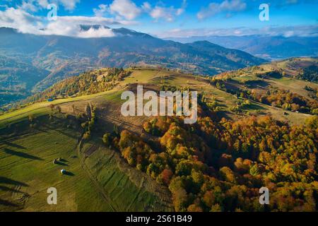 Vue aérienne de drone sur la forêt d'automne. Arbres colorés dans le bois. Arrière-plan de l'automne, vue aérienne de drone de beau paysage de forêt avec des arbres d'automne Banque D'Images