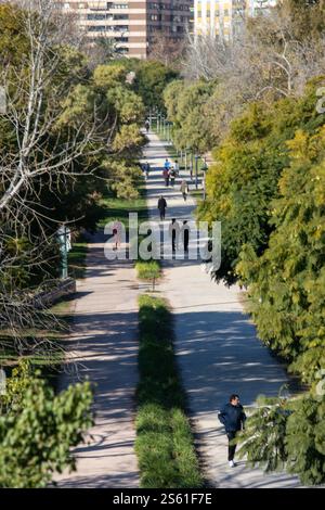 Valence, Espagne, 15 janvier 2025. Habitants de Turia grden, le jardin Turia à Valence mesure environ 9 kilomètres de long et couvre une superficie d’environ 110 hectares, ce qui en fait l’un des plus grands parcs urbains d’Espagne cette année, le magazine Forbes a déclaré Valence la meilleure ville au monde à prendre sa retraite. Crédit : Eduard Ripoll. Banque D'Images