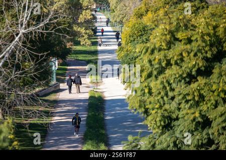 Valence, Espagne, 15 janvier 2025. Habitants de Turia grden, le jardin Turia à Valence mesure environ 9 kilomètres de long et couvre une superficie d’environ 110 hectares, ce qui en fait l’un des plus grands parcs urbains d’Espagne cette année, le magazine Forbes a déclaré Valence la meilleure ville au monde à prendre sa retraite. Crédit : Eduard Ripoll. Banque D'Images