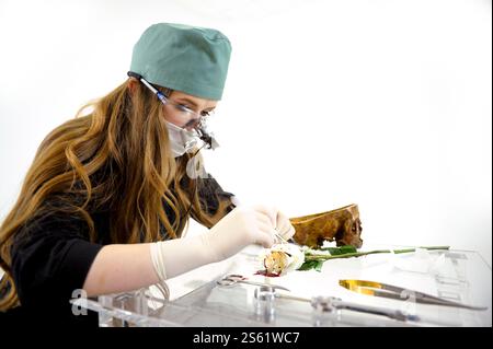 instruments chirurgicaux en salle d'opération. Photo de haute qualité Banque D'Images