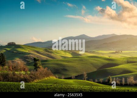 Paysage de collines au coucher du soleil dans la campagne de Lajatico. Montecatini Val di Cecina village en arrière-plan. Province de Pise, région Toscane, IT Banque D'Images
