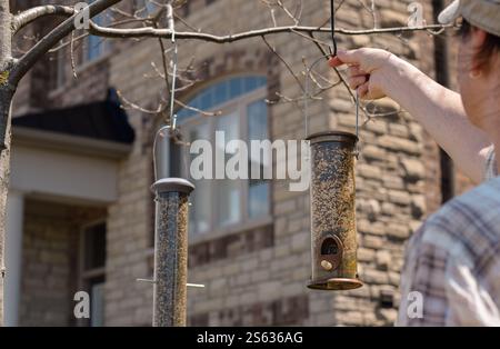 La femme accroche une mangeoire à oiseaux sur des branches d'arbres devant une maison Banque D'Images