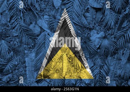 Drapeau de Sainte-Lucie représenté sur de nombreuses feuilles de palmiers monstères. Fond à la mode à la mode. Drapeau de Sainte-Lucie représenté sur de nombreuses feuilles de monstera Banque D'Images