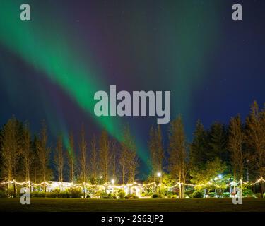 Lumières nordiques illuminant le ciel nocturne au-dessus d'un parc festif à Hveragerdi, dans le sud de l'Islande. Banque D'Images