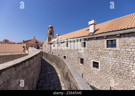 Dubrovnik, Croatie - 27 juin 2023 : vue sur les remparts de la ville avec la tour de l'horloge, autour de la ville médiévale sur la mer Adriatique. Banque D'Images