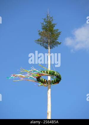 Typique Maypole Maibaum autrichien décoré de rubans colorés sur fond de ciel bleu à Vienne, Autriche. Décoration traditionnelle pour le mois de mai Banque D'Images