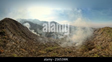 Vue aérienne d'un feu de forêt se propageant sur un terrain montagneux, avec des panaches de fumée s'élevant dans l'atmosphère. Impact environnemental des feux de forêt Banque D'Images