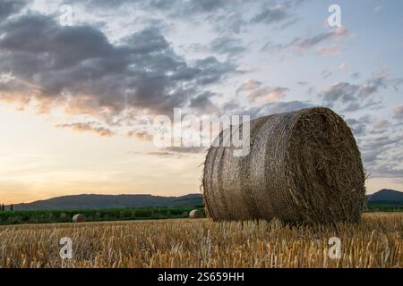Prise de vue à faible angle de balle de paille sur un champ fauché au coucher du soleil avec ciel nuageux atmosphérique et dramatique. Banque D'Images