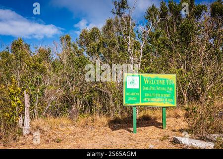 Virgin Gorda, BVI - 22 mars 2018 : Gorda Peak National Park dispose d'un réseau de sentiers menant à des vues panoramiques depuis le plus haut sommet de l'île. Banque D'Images