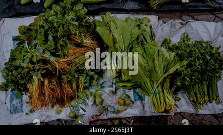 Une variété de légumes verts frais affichés sur un tissu, y compris des légumes verts feuillus et des herbes, avec de petits fruits verts dans des sacs en plastique. Banque D'Images