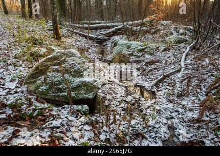 Scène hivernale sereine en Suède avec un sol forestier enneigé, de la pierre couverte de mousse et un petit ruisseau Banque D'Images