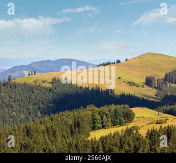 Pays de montagne d'été (paysage, l'Ukraine Carpatique, Verkhovyna)). Banque D'Images
