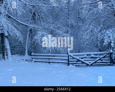 White Winter Wonderland dans le parc national enneigé de Dartmoor Banque D'Images