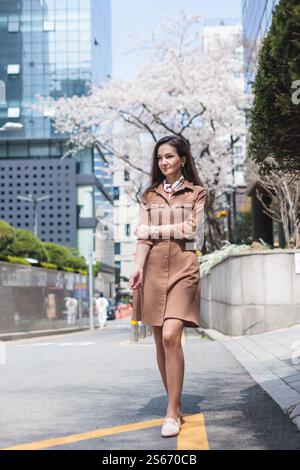 Cerisiers en fleurs en Corée du Sud, cerisiers sakura en fleurs dans les rues de Séoul, journée ensoleillée au printemps, République de Corée, cerisiers roses en fleurs, azalée Banque D'Images