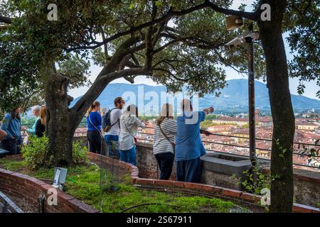 Touristes appréciant la vue depuis la plate-forme d'observation au sommet de la Tour Guinigi (Torre Guinigi) à Lucques, Province de Lucques, Toscane, Italie Banque D'Images