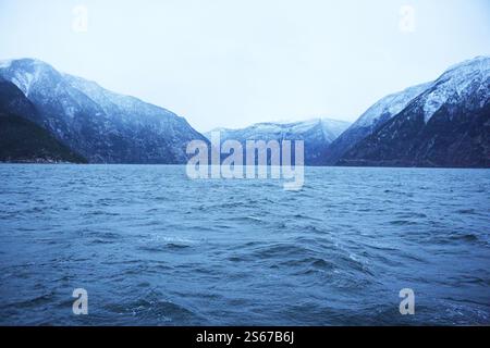 Une vue imprenable sur un fjord entouré de montagnes imposantes et enneigées et d'eaux agitées. Le paysage hivernal, situé sous un ciel couvert, capture la beauté sereine et dramatique de la nature. Banque D'Images