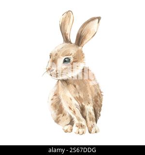 Lapin dessiné à la main à l'aquarelle isolé sur fond blanc. Elément pour décor de Pâques Banque D'Images