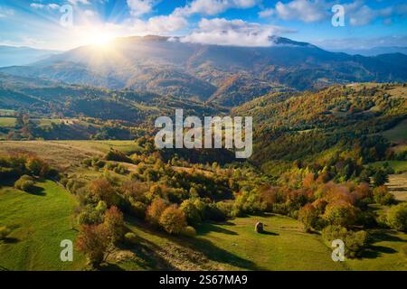 Vue aérienne de drone sur la forêt d'automne. Arbres colorés dans le bois. Arrière-plan de l'automne, vue aérienne de drone de beau paysage de forêt avec des arbres d'automne Banque D'Images