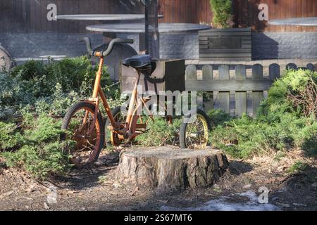 un tricycle orange perché sur une souche dans un jardin envahi par la végétation. Banque D'Images