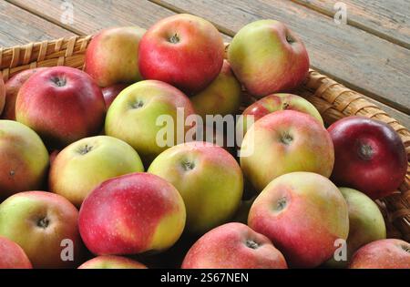 Un tas de pommes fraîches Banque D'Images