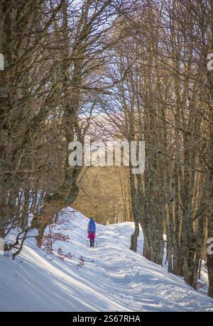 Monti Sibillini (Italie) - le sommet du paysage dans la région des Marches et de l'Ombrie, municipale de Montemonaco, Amandola et Norcia. Hiver panoramique de neige. Banque D'Images