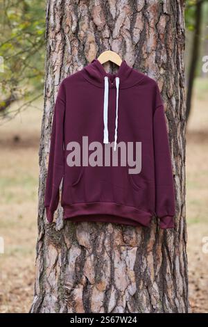 pull à capuche de bourgogne accroché à un cintre sur un arbre dans la forêt. Démonstration de différentes couleurs de vêtements Banque D'Images