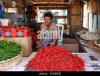Un homme indonésien vendant des piments verts et rouges frais dans un marché traditionnel à Bukittinggi, Sumatra Ouest, Indonésie. Banque D'Images