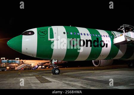 Fort-de-France, Martinique, Caraïbes - 12 janvier 2025 : les passagers montent à bord d'un Airbus A330neo Condor de nuit à l'aéroport de Fort-de-France, Martinique, dans les Caraïbes *** Passagiere steigen BEI Nacht in einen Condor Airbus A330neo am Flughafen von Fort-de-France, Martinique, in der Karibik ein Banque D'Images