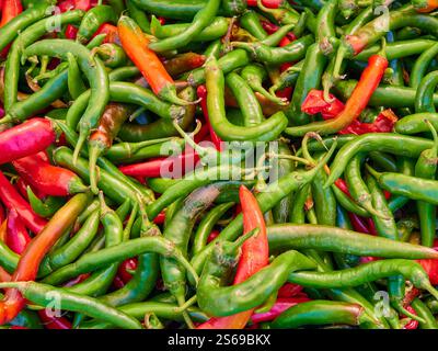 Piments rouges et verts exposés sur un marché fermier Banque D'Images