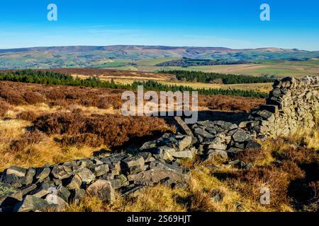 Vue au nord de Kinder Scout depuis Shining Tor, parc national de Peak District, Banque D'Images