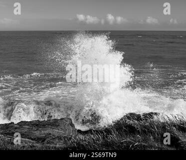 De puissantes vagues écrasant les rochers sur la côte atlantique de l'Irlande, en noir et blanc. Banque D'Images