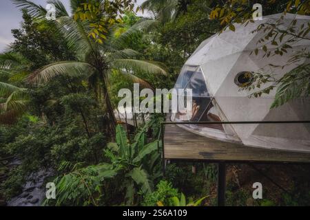 Découvrez la beauté époustouflante d'un dôme géodésique époustouflant, entouré d'un paysage tropical vibrant qui offre une nature immersive et apaisante Banque D'Images
