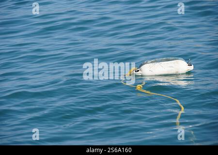 Petite bouée d'amarrage blanche avec corde jaune pour yachts privés et bateaux à moteur flottant à la surface de la mer dans le port de Kos en Grèce. Banque D'Images