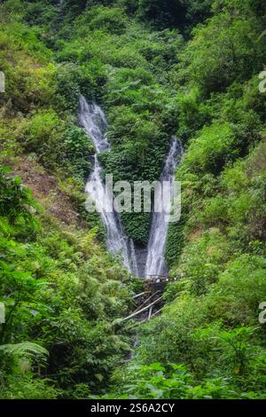 Une vue à couper le souffle avec deux superbes cascades de Madakaripura entourées d'un feuillage vert vibrant, mettant en valeur la beauté intacte de n Banque D'Images
