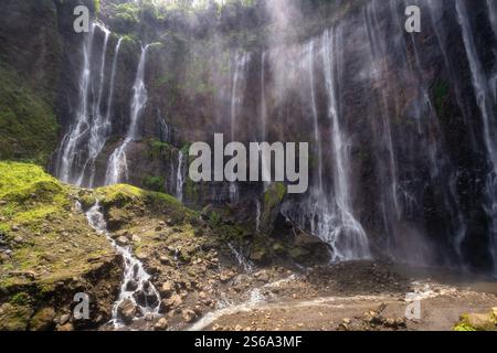 Une vue imprenable sur une cascade sereine de Tumpak Sewu se déversant gracieusement sur une falaise luxuriante couverte de mousse, magnifiquement entourée d'une verdure vibrante Banque D'Images