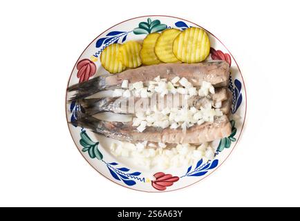 Hareng cru avec cornichons et oignon isolé sur l'assiette, délicatesse hollandaise typique Banque D'Images