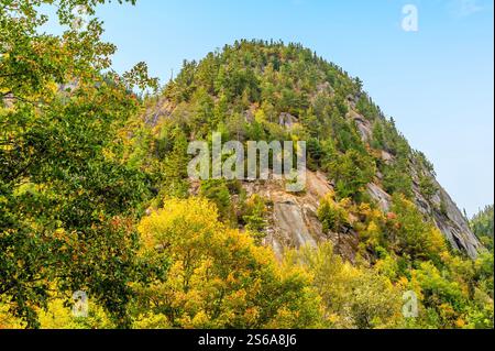 Une vue de la végétation couverte des sommets du parc national du Fjord du Saguenay, Québec au Canada dans la fal Banque D'Images