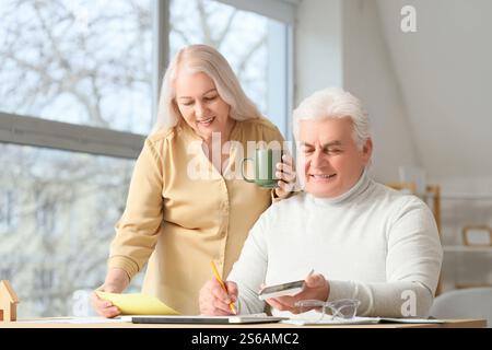 Homme senior avec sa femme calculant les factures de services publics à la maison Banque D'Images