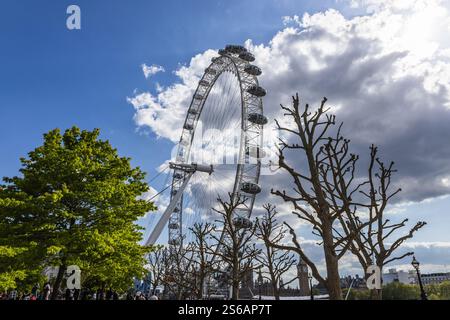 London Eye : un symbole du Londres moderne Banque D'Images