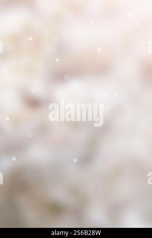 Fond flou abstrait avec des points bokeh dégradé marron et blanc doux Banque D'Images