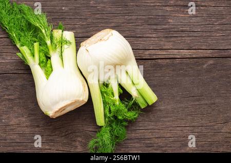 Tas de graines de fenouil séchées dans une cuillère en bois avec bulbes de fenouil frais, plante herbacée parfumée (Foeniculum vulgare) Banque D'Images