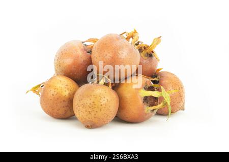 Fruit de nèfle commun organique mûr frais isolé sur fond blanc. Nourriture saine Mespilus germanica Banque D'Images