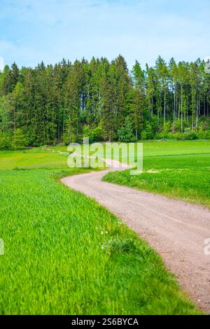 Une route de campagne sereine serpente à travers des champs verdoyants et est bordée d'arbres. Le paysage paisible invite à l'exploration et à une connexion avec la nature sous un ciel bleu clair. Banque D'Images